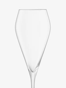 LSA Bar Prosecco Glasses, Set of 2 – Modern Quests