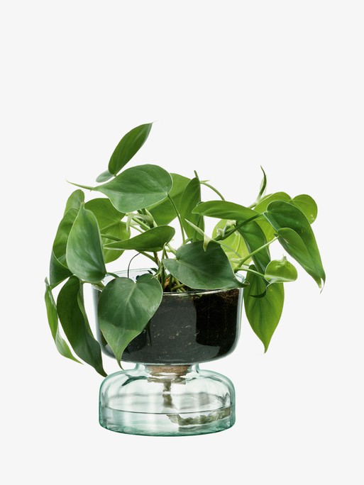 Self Watering Planter Clear/Part Optic H5in, Clear | Canopy | LSA
