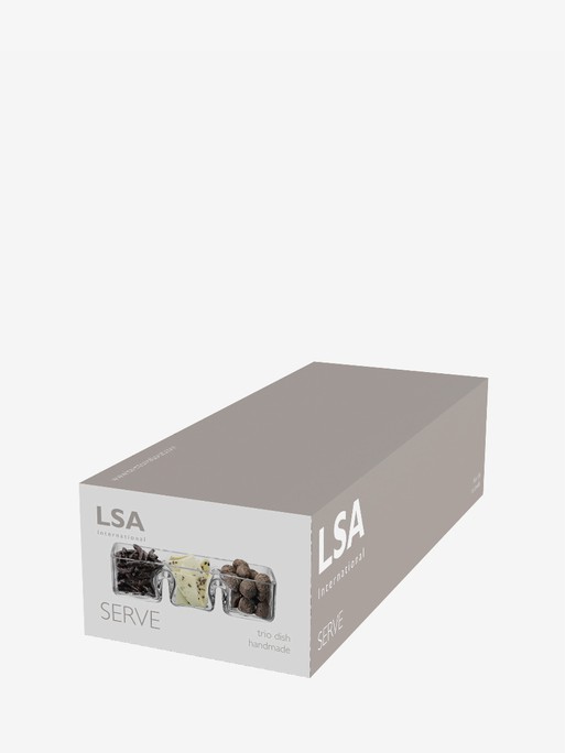 LSA(エルエスエー) トリオディッシュ クリア 長さ30cm SERVE G687-30